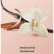 Зволожуюча олія для тіла Vanilla Orchid Sandalwood